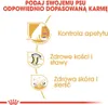 Royal Canin Labrador Retriever Sterilised, Dorosły, Podgląd zdjęcia produktu 5