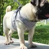 A pug wearing a gray harness stands outdoors with greenery in the background. Náhled obrázku produktu