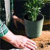 A person's hands are shown tending to a green plant in a textured green pot on a wooden surface. Produktbild-Vorschau