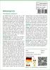 SAFLAX - Mähnengerste - Hordeum jubatum - 70 Samen Produktbild-Vorschau 3