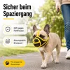 2er-Set Maulkorb Französische Bulldogge, schwarz & gelb, Produktbild-Vorschau 3