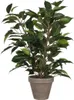 Umělá rostlina březový fíkus Ficus natasja Ø 30 H 40 cm Náhled obrázku produktu 4