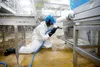 Elka Cleaning Pro PolyurethanSchlupfjacke mit Kapuze grün  Produktbild-Vorschau 3