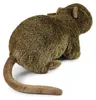 Plüsch Nutria 24 cm umweltfreundlich Produktbild-Vorschau 3