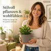 Pflanztopf Fiona Taupe Ø 18cm - Frostsicher & UV-Beständig Produktbild-Vorschau 4