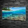Tulup® Glas-Bild - 100x50 -Wandkunst - Wandbild hinter Produktbild-Vorschau 2