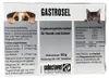 Gastrosel 100 Tabletten Unterstützung der Verdauung für Produktbild-Vorschau 2