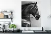 MuchoWow® Poster Pferde - Schwarz - Porträt - Tiere 90x120 Produktbild-Vorschau 3