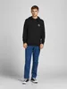 Jack & Jones Hoodie Shark Kapuzensweatshirt Produktbild-Vorschau 4