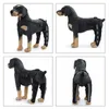 A collage of four images showing a stuffed dog wearing a black and gray orthopedic brace on its hind legs from different angles. Podgląd zdjęcia produktu