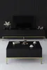 Skye Decor, Lord - Nero, Oro, Mobili TV, nero, 180 x 47 x Anteprima dell’immagine prodotto 4