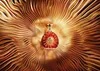Rémy Martin XO Extra Old Cognac Product of France in Produktbild-Vorschau 15