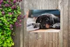 MuchoWow® Produktbild-Vorschau 5