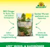 Neudorff Azet Buxus- & IlexDünger  1,75 kg für 70 m² Produktbild-Vorschau 2