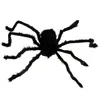 Halloween Riesiges Baby Olbrigm Spinne Anteprima dell’immagine prodotto 7