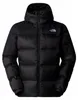 Jas The North Face NF0A8993GOC1 voor Heren Productafbeelding-voorbeeld 4