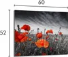 Glasschutzplatte für den Herd 60x52 Maki Produktbild-Vorschau 2