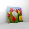 Bild auf Leinwand - Leinwandbild - Tulpen Blumenstrauß Produktbild-Vorschau 4