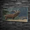 Tulup® Glas-Bild - 100x50 -Wandkunst - Wandbild hinter Produktbild-Vorschau 2