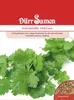 Dürr-Samen - Koriander Marino - Saatgut - 4385 Produktbild-Vorschau 2