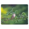 MuchoWow® Mauspad Mousepad Vogel - Baum - Wald 23x19 cm - Produktbild-Vorschau 1