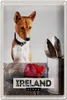 Blechschild Reise 20x30cm Irland Europa Steak Hund Insel Produktbild-Vorschau 1