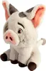 A plush toy of the character Pua from Disney's Moana. Voir les images du produit