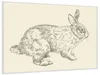 Wallario Wandbild Hase als illustrierte Bleistiftzeichnung, Produktbild-Vorschau 2