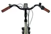 LLobe City E-Bike 28" County, grün, 36V/13Ah Produktbild-Vorschau 13