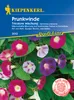 Prunkwinde Tricolore Mix | Windensamen von Kiepenkerl Produktbild-Vorschau 4