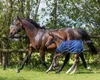 QHP Fohlendecke Turnout 100gr- Navy, 95 Voir les images du produit 3