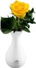 Vase Solo Flaschenform Porzellan 13cm Ø6cm weiß Produktbild-Vorschau 4