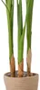 Bird of Paradise - Plante artificielle en pot H160 cm Voir les images du produit 4