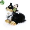 Peluche Chihuahua 24 Cm Ecologico Anteprima dell’immagine prodotto 7