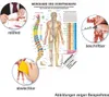 Meridiane u. Dorn Mini-Poster Anatomie 34x24 cm Produktbild-Vorschau 2