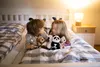 Nici Kuscheltier Pinguin 20 cm schwarz-weiß Plüschtier Produktbild-Vorschau 5