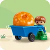 LEGO® DUPLO® 10993 Maison de l'arbre 3 en 1 Voir les images du produit 10