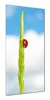 Wallario selbstklebende Duschrückwand 80 x 190 cm mit Motiv Produktbild-Vorschau 1