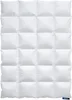 A white down comforter with a quilted pattern is shown flat against a white background. Produktbild-Vorschau