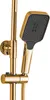 A close-up shot of a gold showerhead and rail system against a white background. Anteprima dell’immagine prodotto
