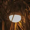 A round, glowing light fixture is suspended among dry, brown palm fronds. Produktbild-Vorschau