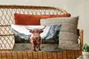 MuchoWow® Zierkissen Sofakissen Wohnzimmer Dekokissen 50x30 Produktbild-Vorschau 5