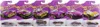 HOT WHEELS Pearl & Chrome 2025 | 5er Set | HDH54-979H | Neu Produktbild-Vorschau 2