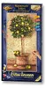 Noris Spiele Malen nach Zahlen - Citrus Limonum; 609220397 Produktbild-Vorschau 1
