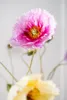 Silk-ka Kunstblume - Seidenblumen-Mohnzweig Rosa 74 cm pro Produktbild-Vorschau 2
