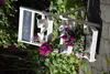 A white wooden plant stand with flowers and a watering can, set in a garden. Produktbild-Vorschau
