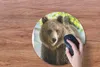 MuchoWow® Mauspad Mousepad Bär - Braun - Wald 40x40 cm - Produktbild-Vorschau 3