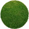 200 x 200 (diamètre) cercle Gazon artificiel Botanic cercle Voir les images du produit 4
