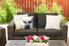 MuchoWow® Outdoor Kissen - Tiere - Schottisches Produktbild-Vorschau 5