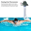 A swimmer in a pool with a floating pool thermometer in the shape of a turtle. Anteprima dell’immagine prodotto